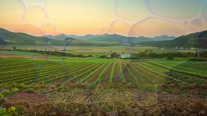 개인회생최저생계비