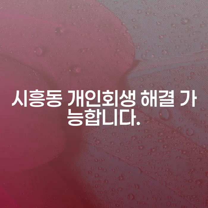 시흥동 개인회생 해결 가능합니다.