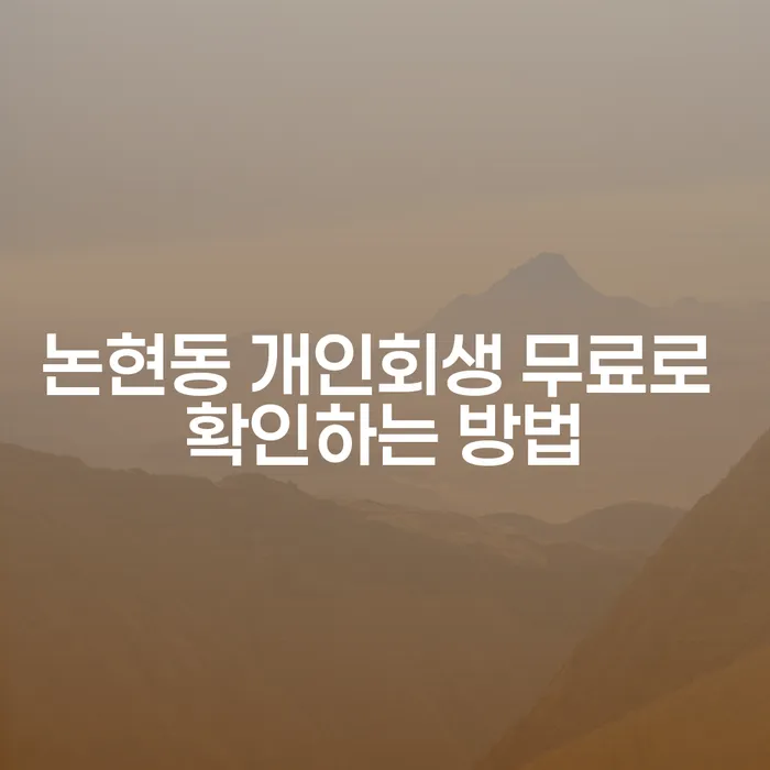 논현동 개인회생 무료로 확인하는 방법
