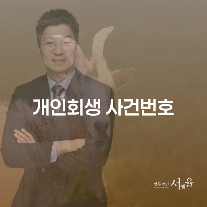 개인회생 사건번호 확인, 어떻게 해야 할까요?