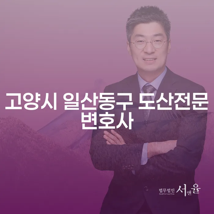 고양시 일산동구에서 도산 문제로 고민 중이신가요? 도산전문변호사의 도움을 받아보세요!