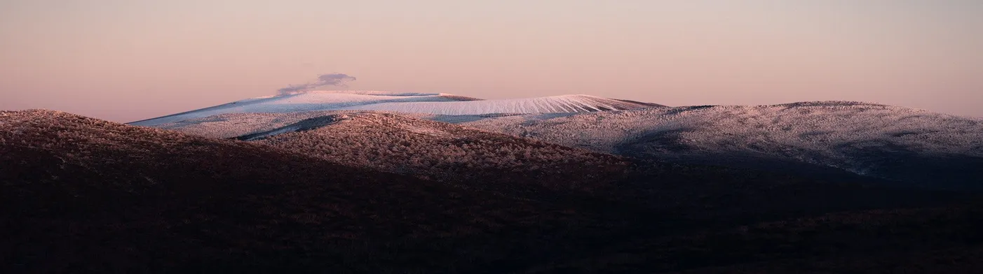 법무법인 서앤율